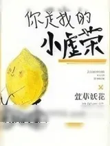 《你是我的小虚荣》小说封面