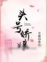《头号娇娘》小说封面