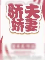 《骄夫娇妻》小说封面