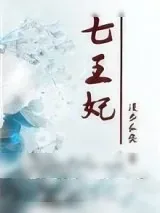 《重生七王妃》小说封面