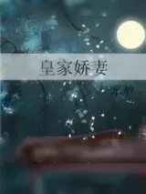 《皇家娇妻》小说封面
