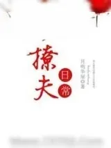 《撩夫日常》小说封面