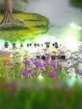 《重生之林帆[军婚]》小说封面