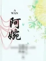 《阿婉》小说封面