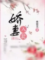 《娇妻入瓮》小说封面