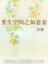《重生空间之如意妾》小说封面