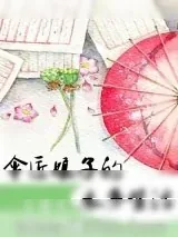 《伞匠娘子的水乡生活》小说封面