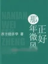 《那年微风正好》小说封面