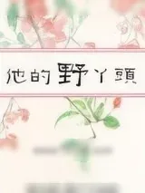 《他的野丫头》小说封面