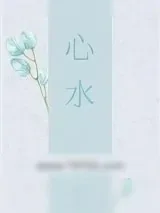 《心水》小说封面