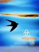 《分手信》小说封面