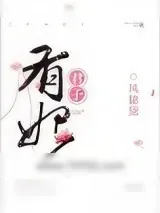 《有妃君子》小说封面