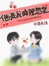 《他是我的理想型[娱乐圈]》小说封面