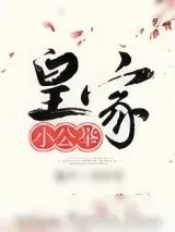 《皇家小公举》小说封面