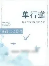 《单行道，逆行爱》小说封面