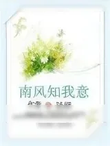 《南风知我意》小说封面