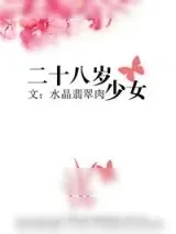 《二十八岁少女》小说封面