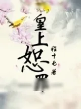 《皇上恕罪》小说封面