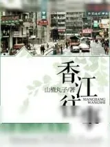 《香江往事》小说封面