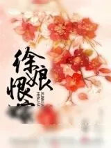 《徐娘恨嫁》小说封面