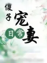 《傻子宠妻日常》小说封面