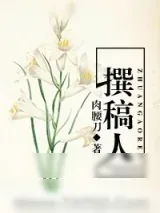《重生之娱乐圈撰稿人》小说封面