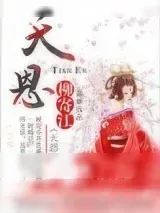 《天恩》小说封面