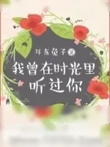 《我曾在时光里听过你》小说封面