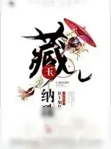 《藏玉纳珠》小说封面