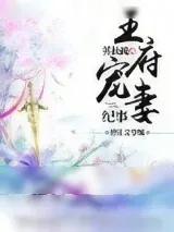 《王府宠妻纪事》小说封面