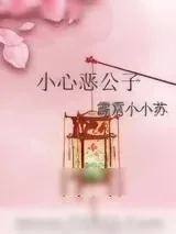 《被恶公子看上怎么破？》小说封面