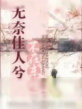 《无奈佳人兮不在东墙》小说封面