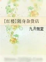 《[红楼]随身杂货店》小说封面