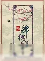 《恰锦绣华年》小说封面