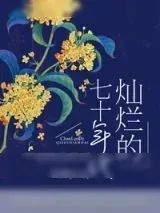 《灿烂的七十年代》小说封面