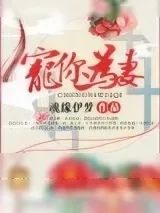 《宠你为妻》小说封面