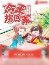 《妃撩不可之冷王拐回家》小说封面