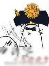 《大力嬷嬷掌》小说封面