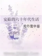《安茹的六十年代生活》小说封面