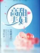 《高甜夫妇》小说封面
