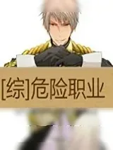 《[综]危险职业》小说封面