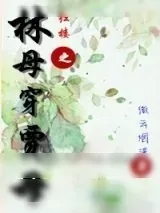 《红楼之林母穿贾母》小说封面