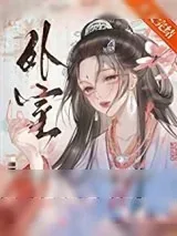 《外室（作者：佛衣归林）》小说封面