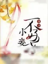 《小妾不好当》小说封面