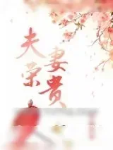 《夫荣妻贵》小说封面