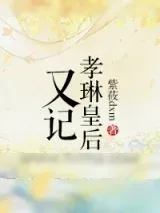 《孝琳皇后又记》小说封面