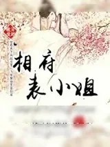 《穿越之相府表小姐》小说封面