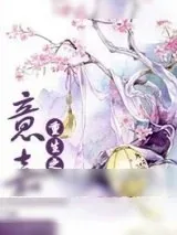 《重生之意嘉》小说封面