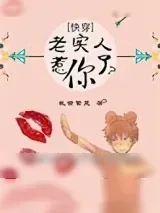 《[快穿]老实人惹你了？》小说封面