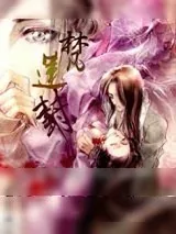 《梵莲封》小说封面